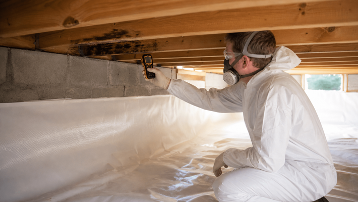 Crawl space mold removal and encapsulation assessment in Kentucky | Mold Hunters