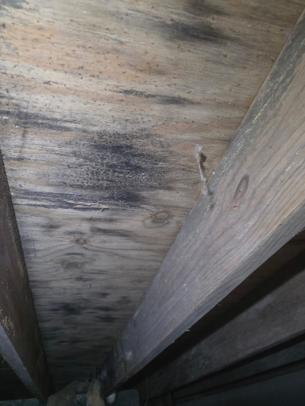 Commercial building being remediated for water damage and mold