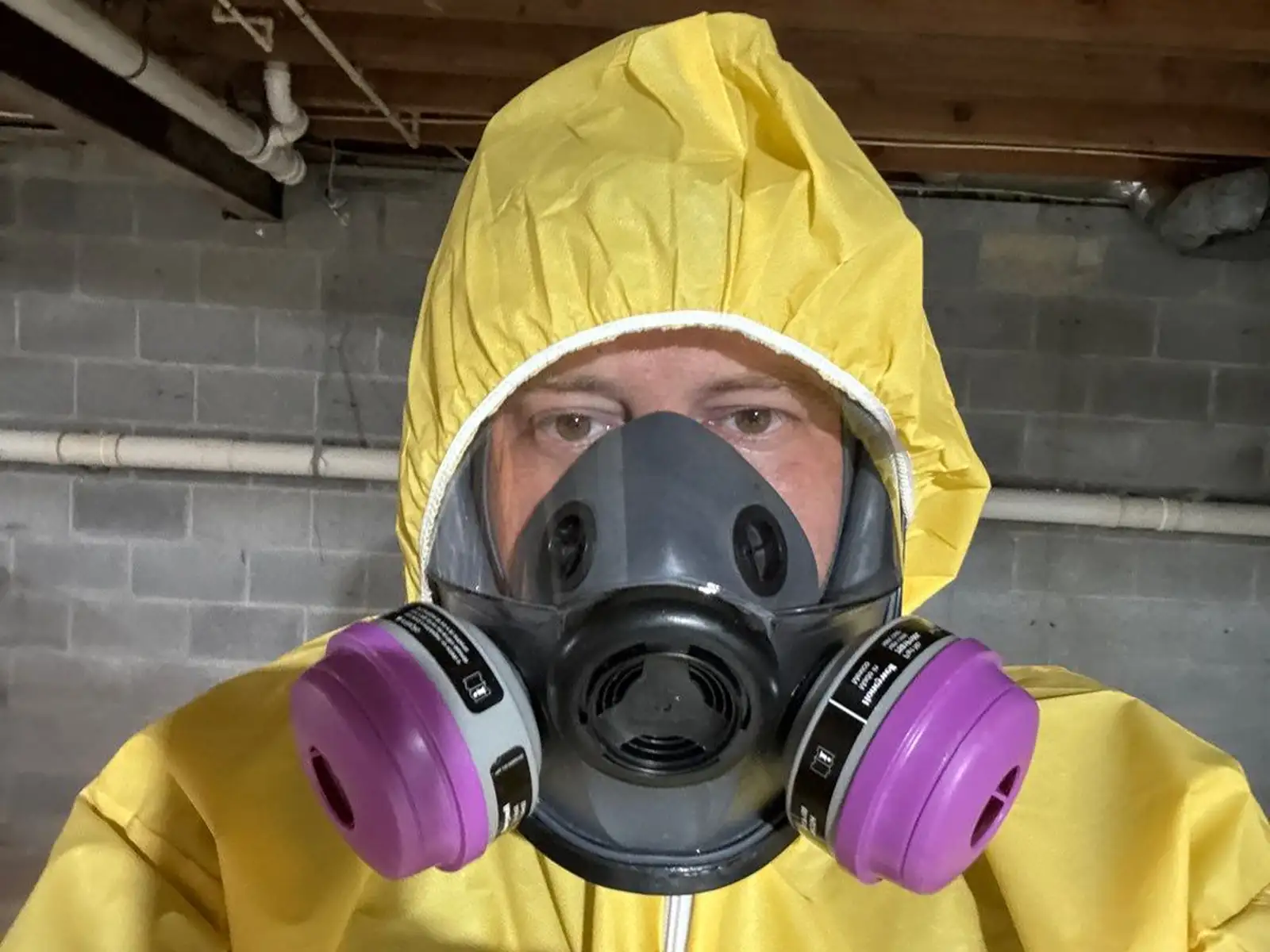 Biohazard Fogging